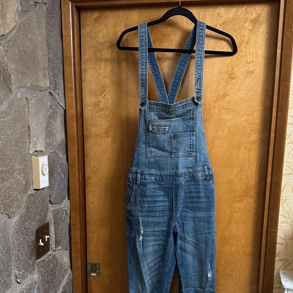 Free People skinny  Light Blue Denim overalls